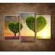 Obrazy na stenu - Stromy v tvare srdca - 3dielny 75x50cm