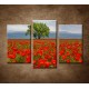 Obrazy na stenu - Osamelý strom - 3dielny 75x50cm