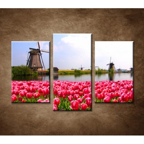 Obrazy na stenu - Veterné mlyny s tulipánmi - 3dielny 75x50cm