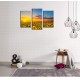 Obrazy na stenu - Rozkvitnuté slnečnice - 3dielny 75x50cm