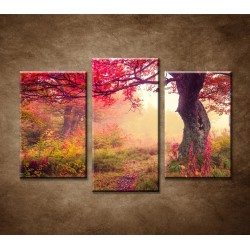 Obrazy na stenu - Jesenné stromy v lese - 3dielny 75x50cm