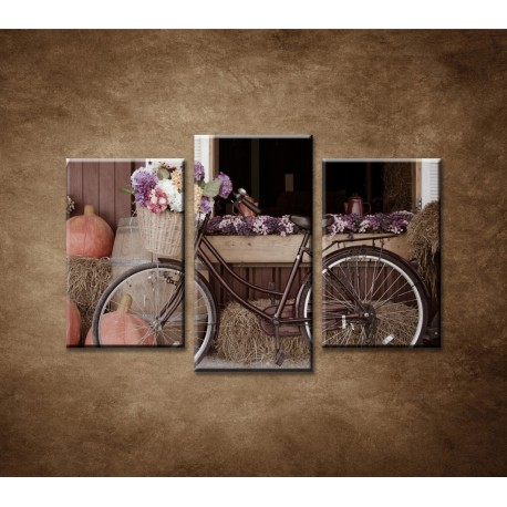 Obrazy na stenu - Bicykel a kvety - 3-dielny 75x50cm