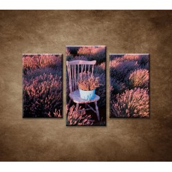 Obrazy na stenu - Stolička v levanduľovom poli - 3-dielny 75x50cm