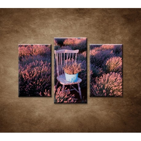 Obrazy na stenu - Stolička v levanduľovom poli - 3-dielny 75x50cm