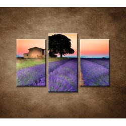 Obrazy na stenu - Letný západ slnka - 3-dielny 75x50cm