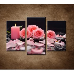 Obrazy na stenu - Ruže so sviečkou - 3dielny 75x50cm