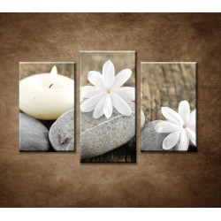 Obrazy na stenu - Sivé kamene a biele kvety - 3dielny 75x50cm