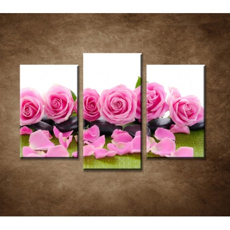 Obrazy na stenu - Ružové ruže na kameňoch - 3dielny 75x50cm