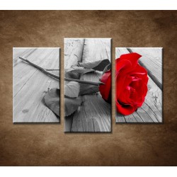 Obrazy na stenu - Červená ruža - 3-dielny 75x50cm