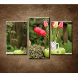 Obrazy na stenu - Kytica farebných tulipánov - 3-dielny 75x50cm