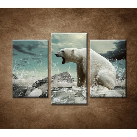 Obrazy na stenu - Polárny medveď - 3dielny 75x50cm