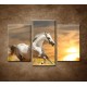 Obrazy na stenu - Biely kôň pri západe - 3dielny 75x50cm