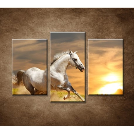Obrazy na stenu - Biely kôň pri západe - 3dielny 75x50cm