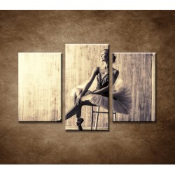 Obrazy na stenu - Profesionálna baletka - 3dielny 75x50cm