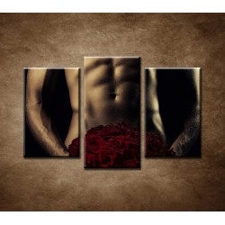 Obrazy na stenu - Sexi muž s ružami - 3dielny 75x50cm