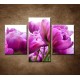 Obrazy na stenu - Tulipánové zátišie - 3dielny 90x60cm