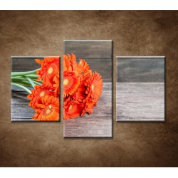 Obrazy na stenu - Oranžové gerbery - 3dielny 90x60cm