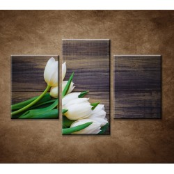 Obrazy na stenu - Prvé tulipány - 3dielny 90x60cm
