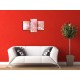 Obrazy na stenu - Ružová gerbera - 3dielny 90x60cm