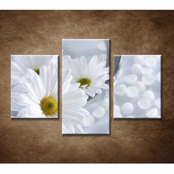 Obrazy na stenu - Kvety vo vode - 3dielny 90x60cm