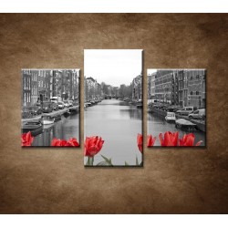 Obrazy na stenu - Tulipány v Amsterdame - 3dielny 90x60cm