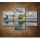 Obrazy na stenu - Zelený strom - 3dielny 90x60cm