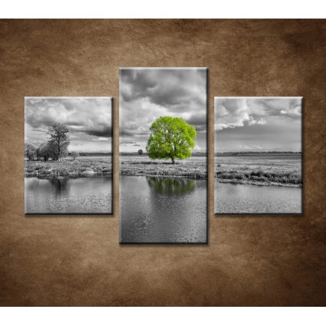 Obrazy na stenu - Zelený strom - 3dielny 90x60cm