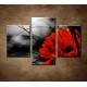 Obrazy na stenu - Červená gerbera - 3dielny 90x60cm