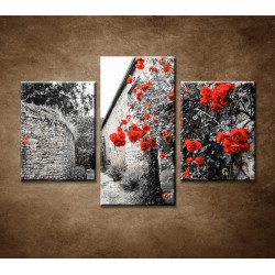 Obrazy na stenu - Červené ruže - 3dielny 90x60cm