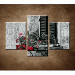 Obrazy na stenu - Kvety na okne - 3dielny 90x60cm
