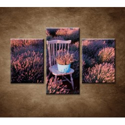 Obrazy na stenu - Stolička v levanduľovom poli - 3dielny 90x60cm