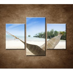 Obrazy na stenu - Húpačka na pláži - 3dielny 90x60cm