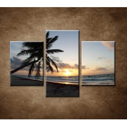 Obrazy na stenu - Východ slnka na pobreží - 3dielny 90x60cm