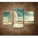 Obrazy na stenu - Zimná krajina - 3dielny 90x60cm