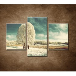 Obrazy na stenu - Zimná krajina - 3dielny 90x60cm