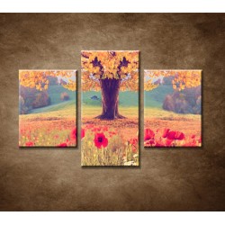 Obrazy na stenu - Jesenný strom - 3dielny 90x60cm
