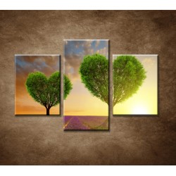 Obrazy na stenu - Stromy v tvare srdca - 3dielny 90x60cm