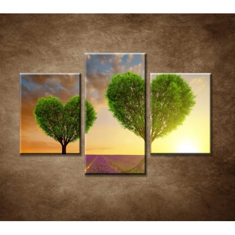 Obrazy na stenu - Stromy v tvare srdca - 3dielny 90x60cm