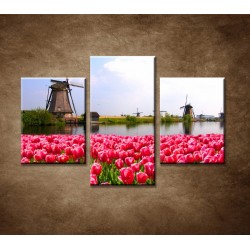 Obrazy na stenu - Veterné mlyny s tulipánmi - 3dielny 90x60cm