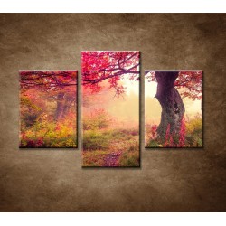 Obrazy na stenu - Jesenné stromy lese - 3dielny 90x60cm