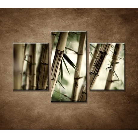 Obrazy na stenu - Bambusový les - 3dielny 90x60cm