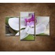 Obrazy na stenu - Orchidea s bambusom - 3dielny 90x60cm