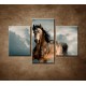 Obrazy na stenu - Divoký žrebec - 3dielny 90x60cm