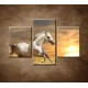 Obrazy na stenu - Biely kôň pri západe - 3dielny 90x60cm