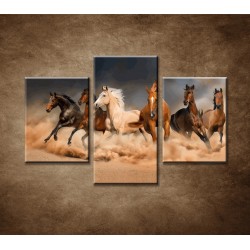 Obrazy na stenu - Stádo koní - 3dielny 90x60cm