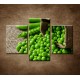 Obrazy na stenu - Zelený hrášok - 3dielny 90x60cm