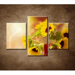 Obrazy na stenu - Krásne slnečnice - 3dielny 90x60cm