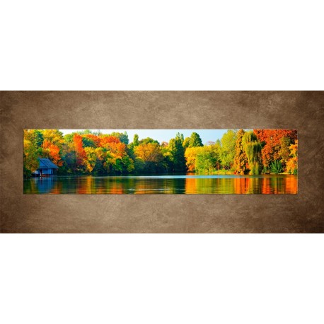 Obrazy na stenu - Farebný les