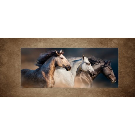 Obrazy na stenu - Kone s dlhými hrivami