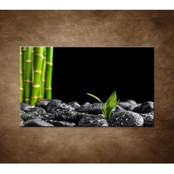 Obraz na stenu - Čierne kamene a bambus